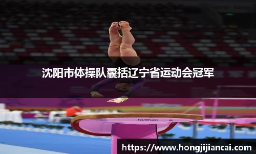 沈阳市体操队囊括辽宁省运动会冠军